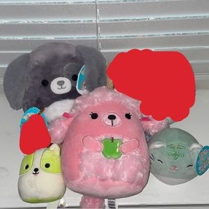Pet squishmallows